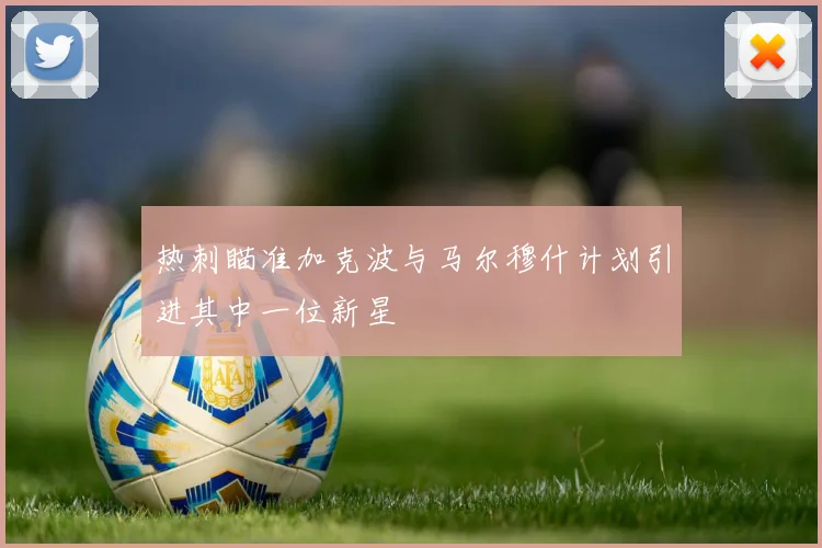 热刺瞄准加克波与马尔穆什计划引进其中一位新星